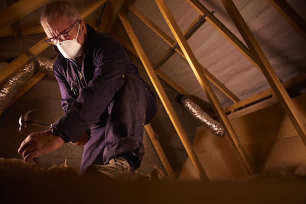 Professional Insulation Contractor in NM